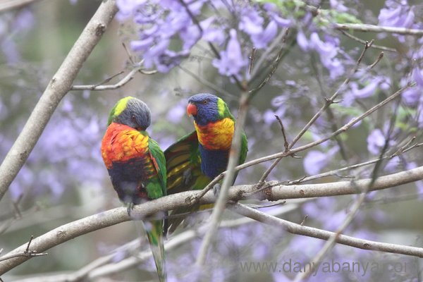 Lori and Keet