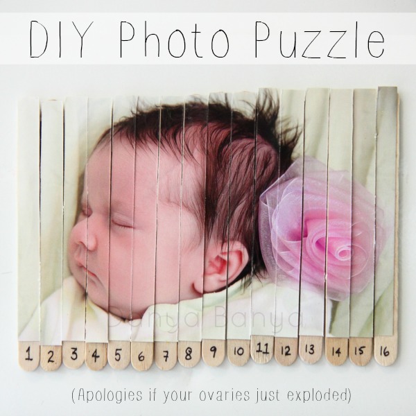 DIY Photo Puzzle and an apology to your ovaries