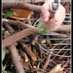 Using Sticks in Sensory Bins