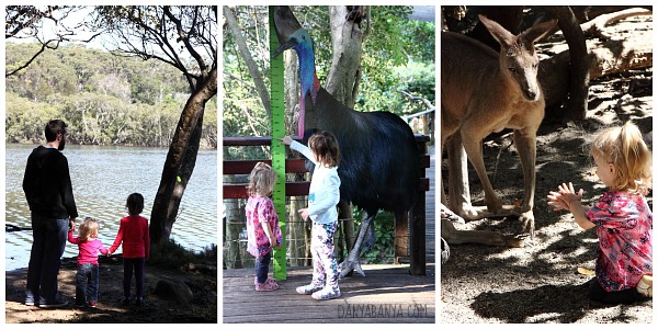 Learning about nature