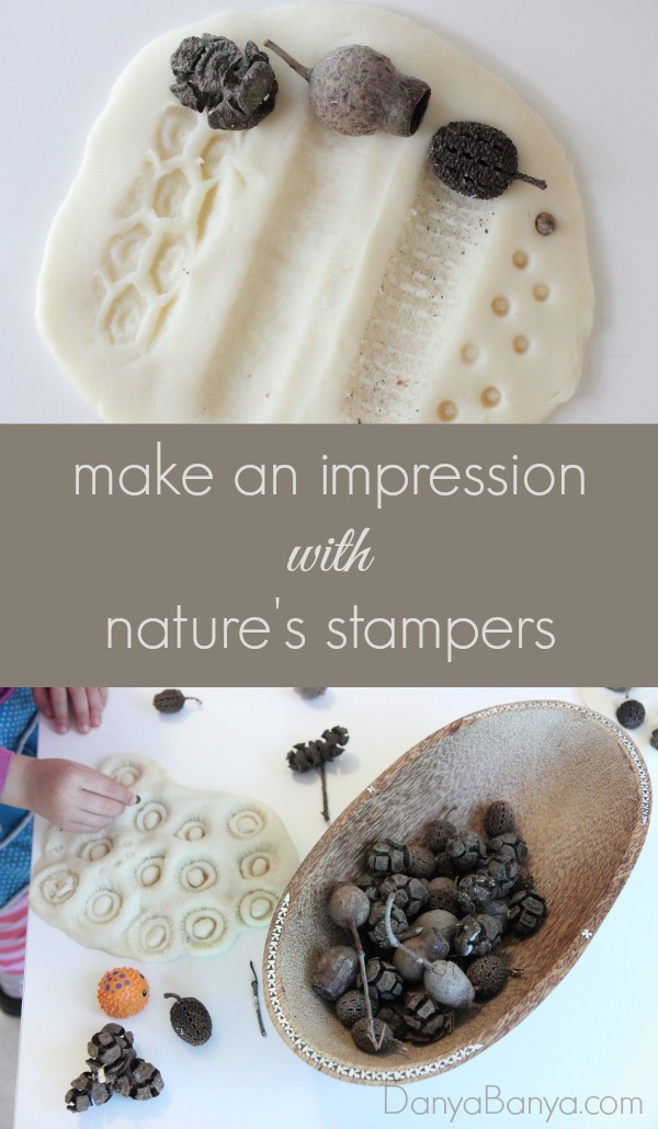 Make an impression with natures stampers ~ Danya Banya