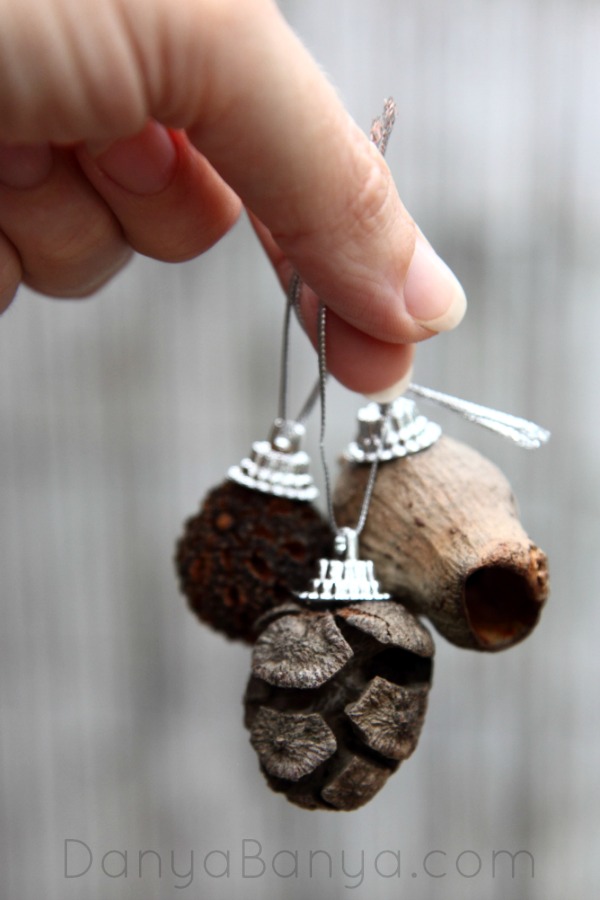 DIY Nature Christmas Ornaments