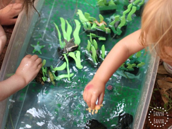 Ocean themed sensory bin