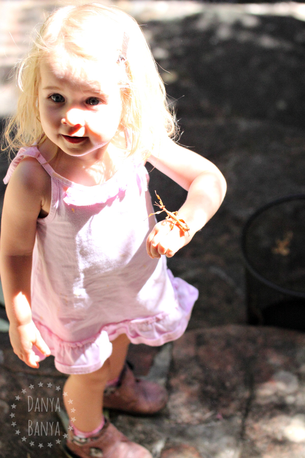 Toddler and a phasmid (stick insect)