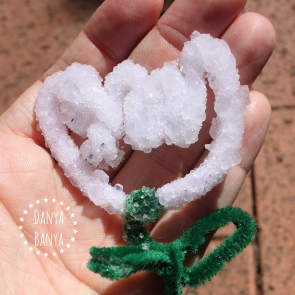 White borax crystal flower