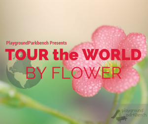 PGPB Tour the World by Flower Small