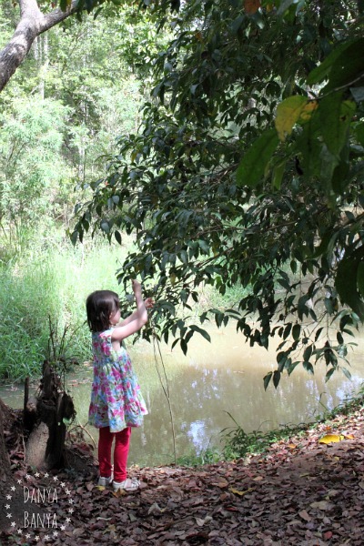 Bushwalking and taking the time to study nature