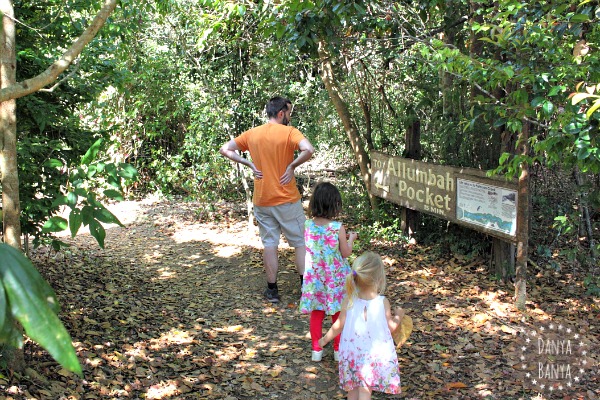 Bushwalking at Yungabunga