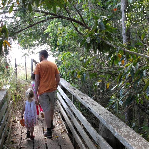 Buskwalking at Petersen Creek, Yungabunga