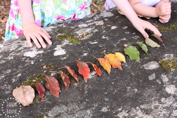 Collecting and sorting leaves