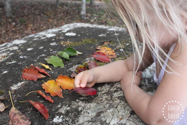 Gathering, studying and sorting leaves