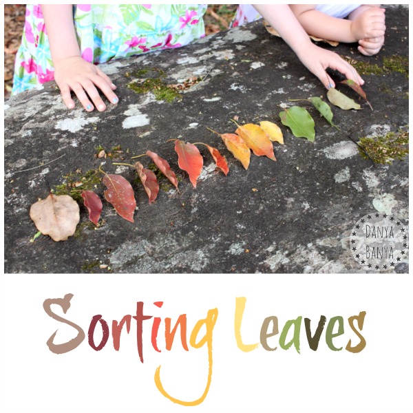 Sorting leaves and enjoying the great outdoors