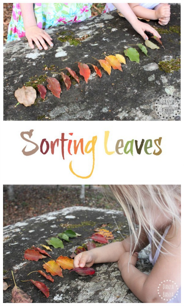 Sorting leaves by colour, pattern and shape - fun way for kids to play and learn outdoors ~ Danya Banya