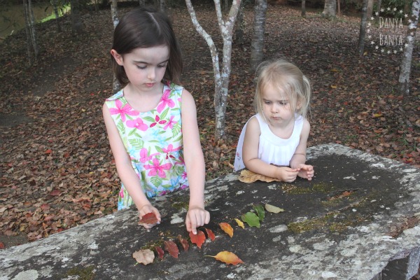 Sorting leaves by colour