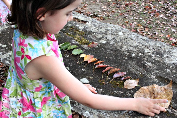 Sorting leaves