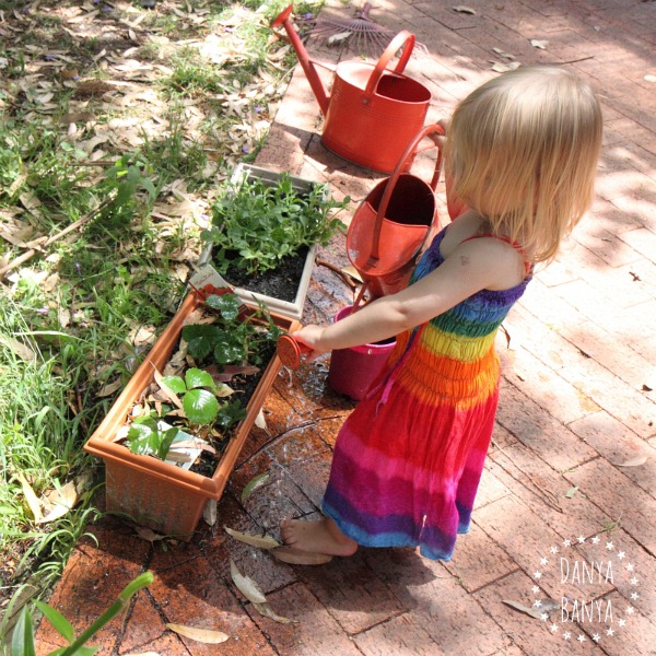 watering the garden