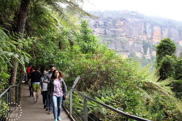 Boardwalks near Scenic World, with spectacular Blue Mountains cliffs