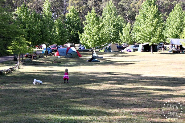 Cathedral reserve