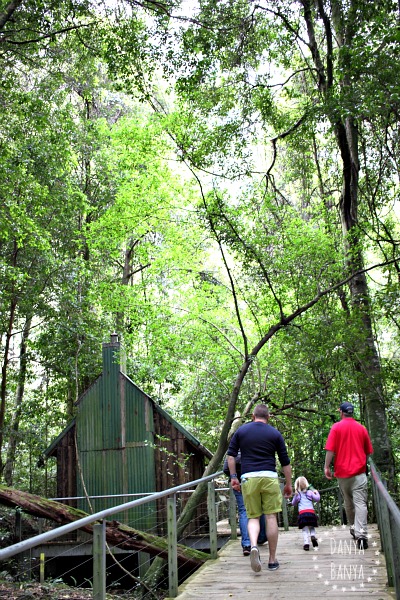 Coal miners hut - bushing walking near Scenic World, Blue Mountains