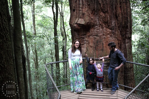 Obligatory family shot with the one thousand year old turpentine tree, Blue Mountains National Park