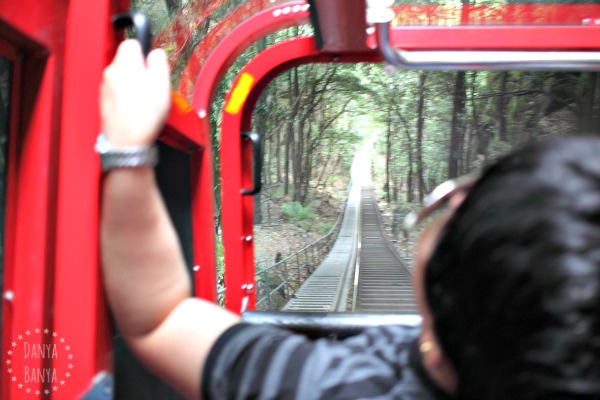 Riding the Scenic Railway, and this isn't even the steepest bit!