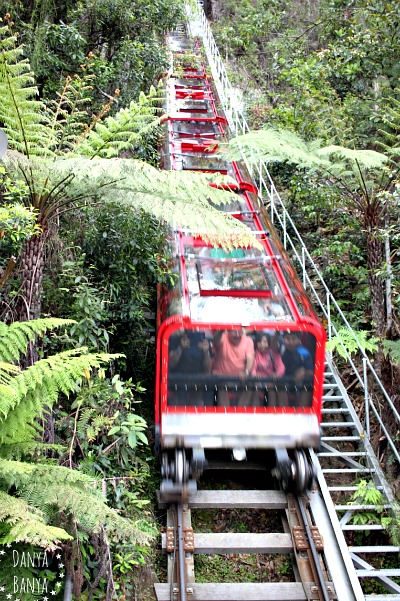 Scenic Railway, near Katoomba, Blue Mountains, Australia