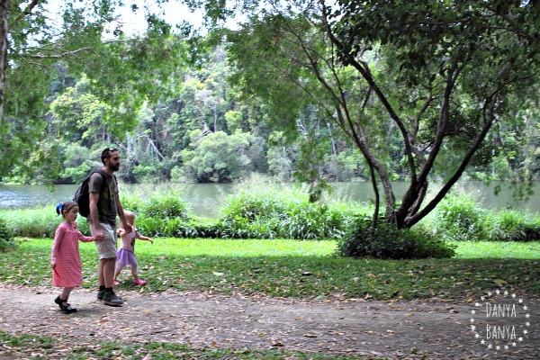 Walking beside the Daintree Rainforest and river at Kunundra, Atherton Tablelands