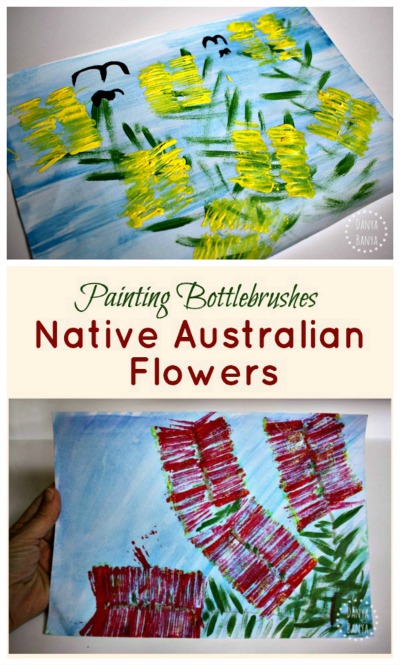 Bottlebrush art Australian native flower paintings for kids