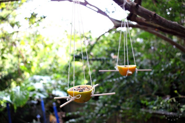 DIY Orange Peel Bird Feeders