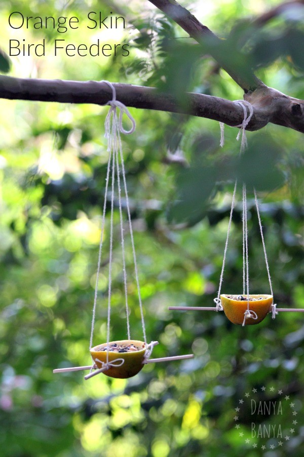 Orange Skin Bird Feeders