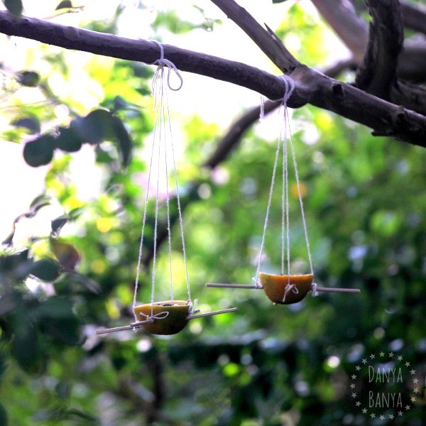 Orange Skin Bird Feeders to attract birds into your backyard