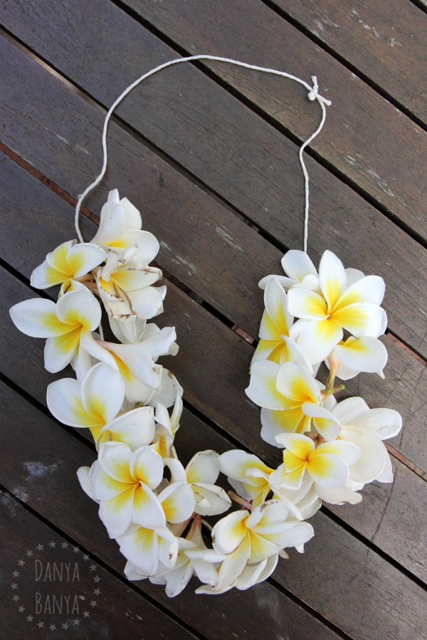 How to make a beautiful frangipani lei necklace - lovely nature craft for kids