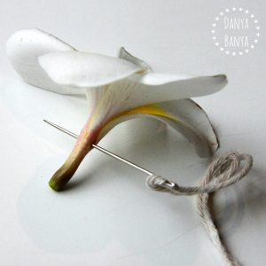 Threading the needle through the stem of a frangipani flower