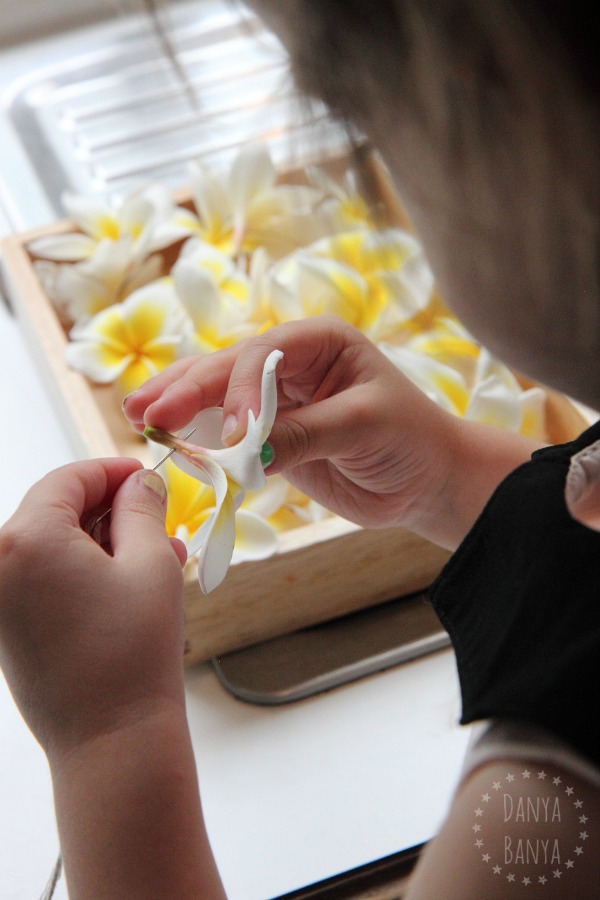 Threading twine through a frangipani flower to make a lei