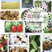 easiest DIY upcycled fruit & veg fridge magnets ever, and they are totally free