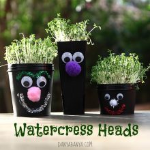 Watercress Heads