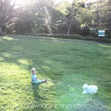 Picking toddler battles