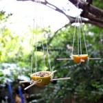 DIY Orange Peel Bird Feeders