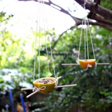 DIY Orange Peel Bird Feeders